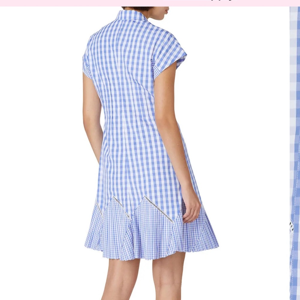 Thakoon × RTR Blue Gingham Dress - Picture 3 of 11